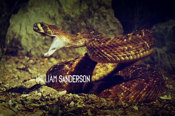 True Blood Opening Title Sequence