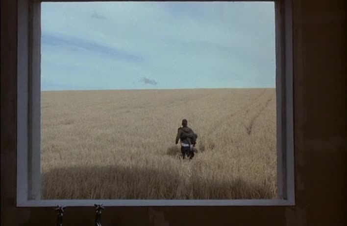 Houses at the End of the Line