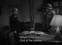 Marina Calls Manfredi